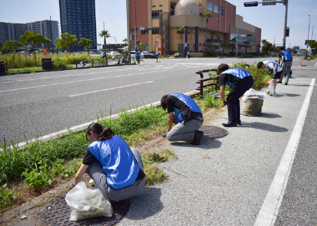 除草作業(クリーンデー)実施の様子